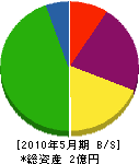 川＊技術開発 貸借対照表 2010年5月期