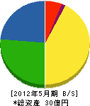 日本地研 貸借対照表 2012年5月期