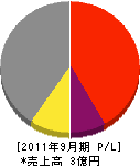 渡邊興業 損益計算書 2011年9月期