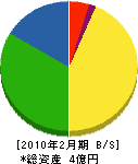 ヨコタ工務所 貸借対照表 2010年2月期
