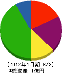 松枝工務店 貸借対照表 2012年1月期