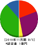 沖縄環境メンテナンス 貸借対照表 2010年11月期