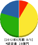 藤本窯業 貸借対照表 2012年6月期