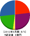 小田島建設 貸借対照表 2012年6月期