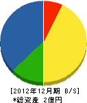 那賀川開発土木 貸借対照表 2012年12月期