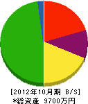 前田電気 貸借対照表 2012年10月期