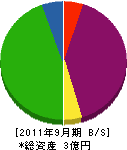 沢田工業 貸借対照表 2011年9月期