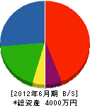小松組 貸借対照表 2012年6月期