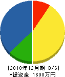 岩田産業 貸借対照表 2010年12月期