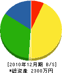 西嶋電業社 貸借対照表 2010年12月期