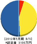矢野組 貸借対照表 2012年5月期