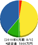 村岡電気商会 貸借対照表 2010年6月期
