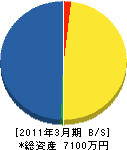 柳沢商事電気部 貸借対照表 2011年3月期