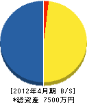 上田造園 貸借対照表 2012年4月期