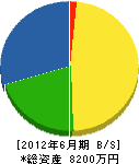 山川設備工業 貸借対照表 2012年6月期