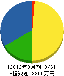 朝倉管工ポンプ店 貸借対照表 2012年9月期