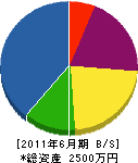 宮沢造園 貸借対照表 2011年6月期