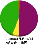 浅井木材 貸借対照表 2009年3月期