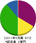 長澤工務店 貸借対照表 2011年5月期