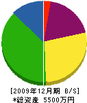 沢田サッシセンター 貸借対照表 2009年12月期