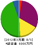 田中塗装工業 貸借対照表 2012年3月期