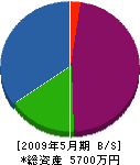 小澤建材 貸借対照表 2009年5月期