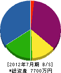 中筋電気工業所 貸借対照表 2012年7月期