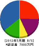 梅井設計 貸借対照表 2012年5月期