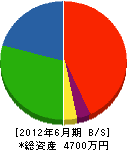北斗 貸借対照表 2012年6月期