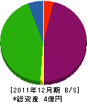 柴田電池商会 貸借対照表 2011年12月期