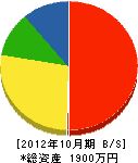 須﨑造園 貸借対照表 2012年10月期
