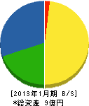 新潟潜水興業 貸借対照表 2013年1月期