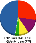 川崎建設 貸借対照表 2010年6月期