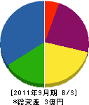 ミセキ 貸借対照表 2011年9月期