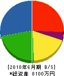 須崎水道建設 貸借対照表 2010年6月期