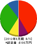 竹部工業 貸借対照表 2012年6月期
