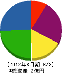 石駒 貸借対照表 2012年6月期