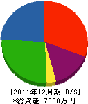 川岸組 貸借対照表 2011年12月期