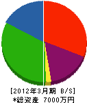 藤田緑地造園 貸借対照表 2012年3月期