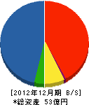 海道建設 貸借対照表 2012年12月期