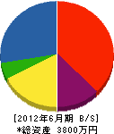 大京園 貸借対照表 2012年6月期