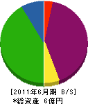 永井クレーン工業 貸借対照表 2011年6月期