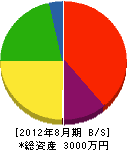 高津電気 貸借対照表 2012年8月期