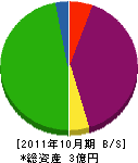 中田建設 貸借対照表 2011年10月期