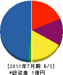 巌大建業 貸借対照表 2011年7月期