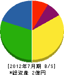浅井電機 貸借対照表 2012年7月期