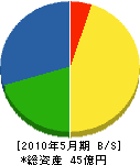 町田建設 貸借対照表 2010年5月期