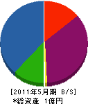 長沢建設 貸借対照表 2011年5月期