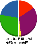 小野工業所 貸借対照表 2010年6月期