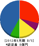 宇城組 貸借対照表 2012年6月期